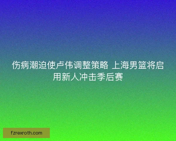 伤病潮迫使卢伟调整策略 上海男篮将启用新人冲击季后赛